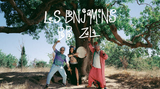 Les Benjamins - 