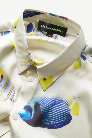 Les Benjamins - 
