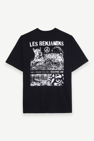 Les Benjamins - 